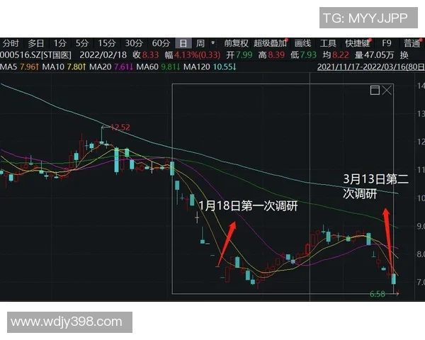 西安极限运动队快攻策略解析与热点趋势探讨